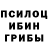Галлюциногенные грибы MAGIC MUSHROOMS Top Mu3ika